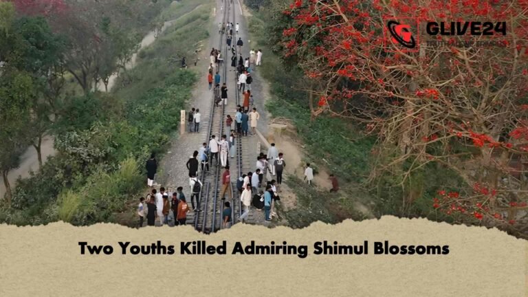 Two Youths Killed Admiring Shimul Blossoms 1 Two Youths Killed Admiring Shimul Blossoms