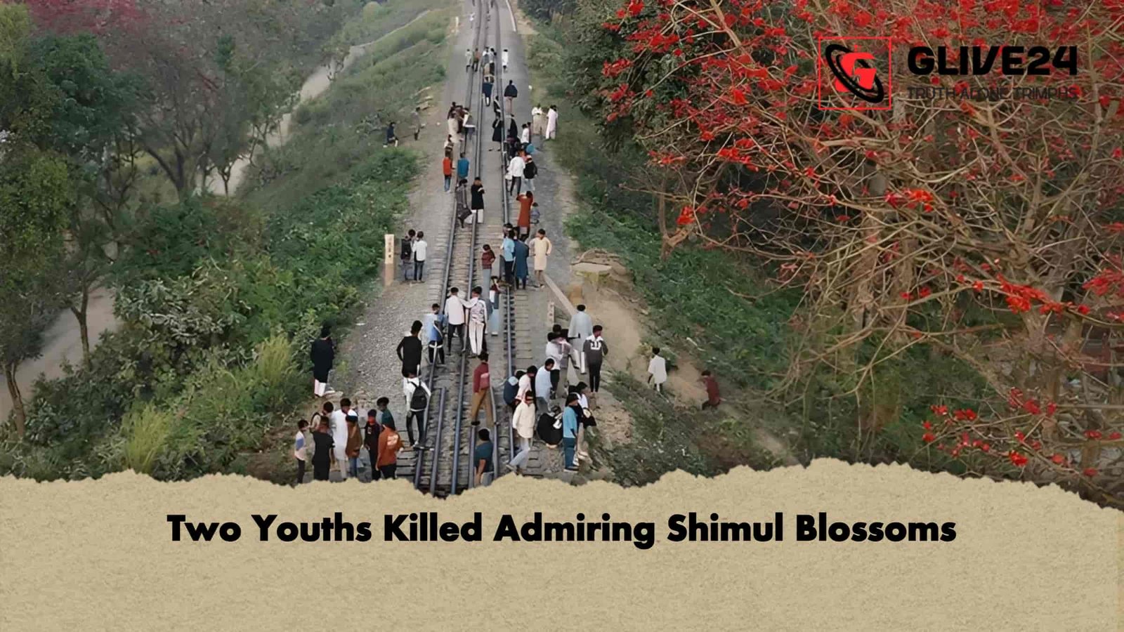 Two Youths Killed Admiring Shimul Blossoms 1 Two Youths Killed Admiring Shimul Blossoms