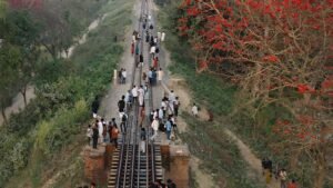 Two Youths Killed Admiring Shimul Blossoms Two Youths Killed Admiring Shimul Blossoms