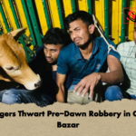 Villagers Thwart Pre Dawn Robbery in Coxs Bazar Villagers Thwart Pre-Dawn Robbery in Cox’s Bazar