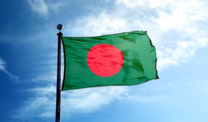 ঘরে ঘরে বাংলাদেশের বাংলার পতাকা উড়ানো হয় ঘরে ঘরে বাংলাদেশের বাংলার পতাকা উড়ানো হয়