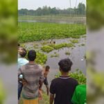 পানিতে ডুবে যুবক ও যুবতীর মৃত্যু Tragic Drowning Claims Young Man and Girl