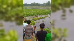 পানিতে ডুবে যুবক ও যুবতীর মৃত্যু পানিতে ডুবে যুবক ও যুবতীর মৃত্যু