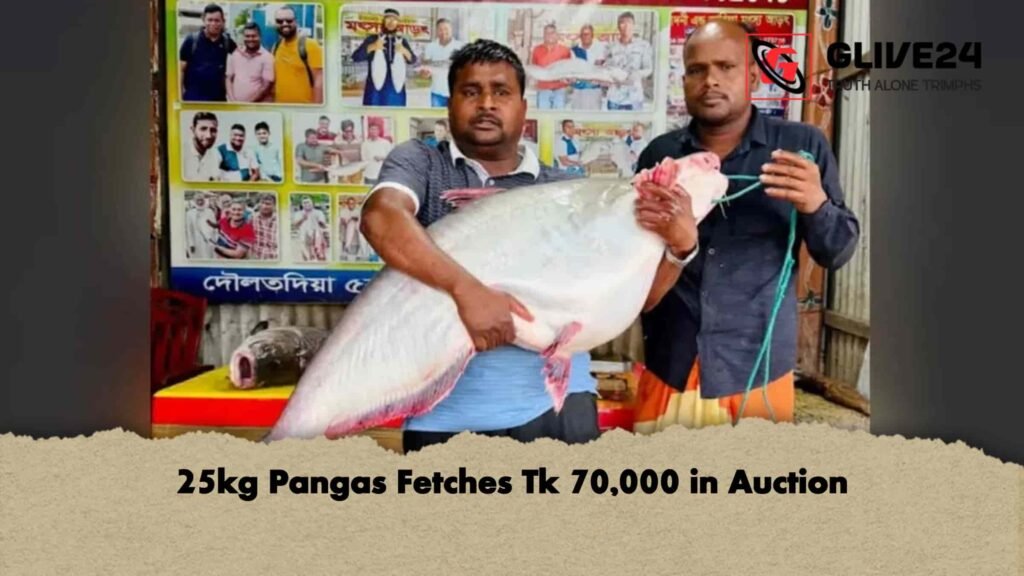 25kg Pangas Fetches Tk 70,000 in Auction 3 25kg Pangas Fetches Tk 70,000 in Auction