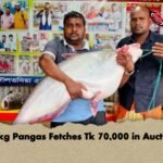 25kg Pangas Fetches Tk 70,000 in Auction
