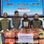 80kg Cannabis Seized in Bogura 80kg Cannabis Seized in Bogura