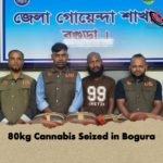 80kg Cannabis Seized in Bogura 80kg Cannabis Seized in Bogura