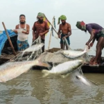 Bangladesh Enforces 58 Day Sea Fishing Ban Bay of Bengal Fishing Ban Begins for 58 Days