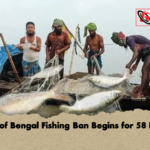 Bay of Bengal Fishing Ban Begins for 58 Days Bay of Bengal Fishing Ban Begins for 58 Days