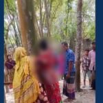 Bitter Gourd Theft Incident Sparks Outrage Bitter Gourd Theft Incident Sparks Outrage