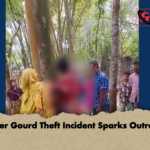 Bitter Gourd Theft Incident Sparks Outrage Bitter Gourd Theft Incident Sparks Outrage