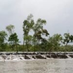 Call for Urgent Climate Insurance in Coastal Bangladesh Coastal Climate Insurance Expansion Urged