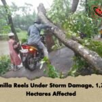 Comilla Reels Under Storm Damage, 1,733 Hectares Affected