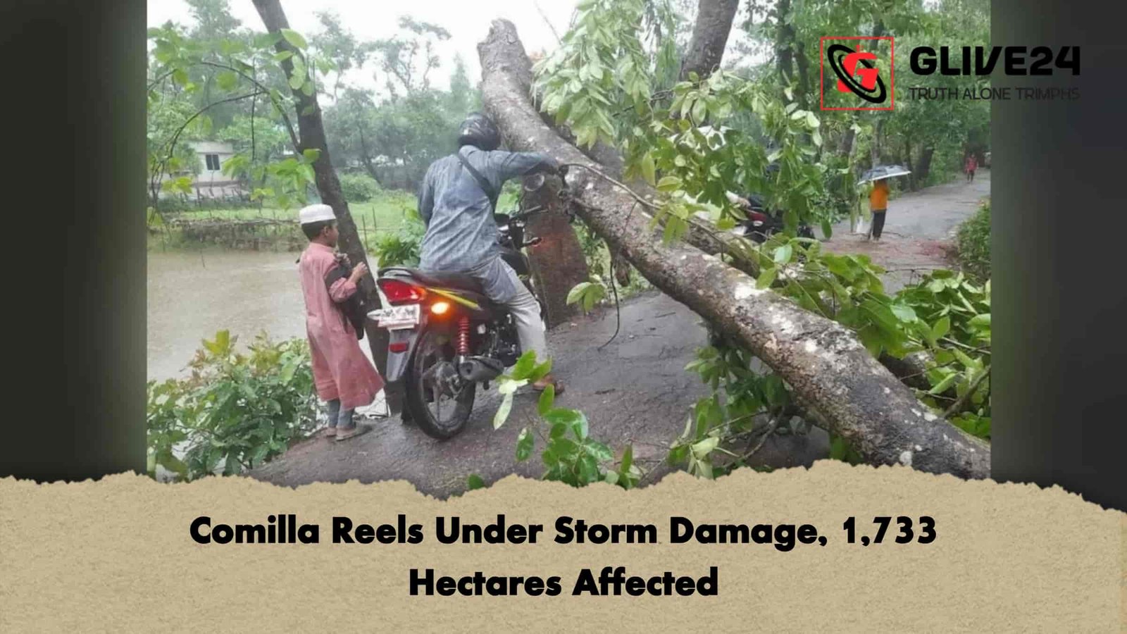 Comilla Reels Under Storm Damage, 1,733 Hectares Affected