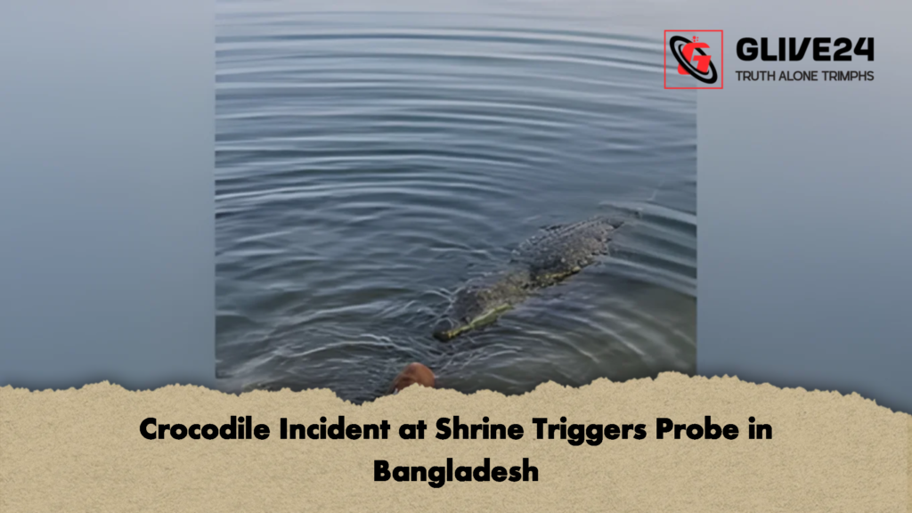 Crocodile Incident at Shrine Triggers Probe in Bangladesh Crocodile Incident at Shrine Triggers Probe in Bangladesh