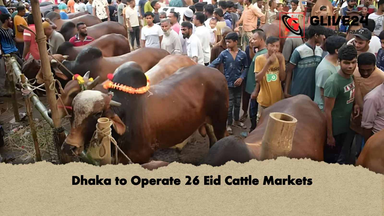 Dhaka to Operate 26 Eid Cattle Markets Dhaka to Operate 26 Eid Cattle Markets