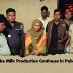 Fake Milk Production Continues in Pabna Fake Milk Production Continues in Pabna