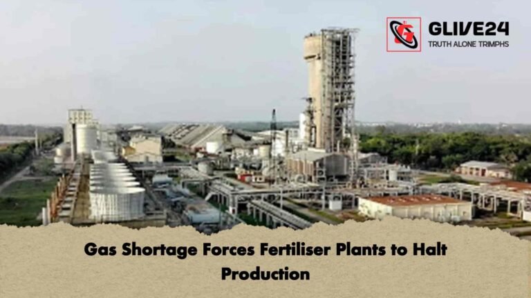 Gas Shortage Forces Fertiliser Plants to Halt Production