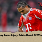Germany Faces Injury Crisis Ahead Of World Cup 2 Germany Faces Injury Crisis Ahead Of World Cup