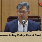 Government to Buy Paddy Rice at Fixed Rates Government to Buy Paddy, Rice at Fixed Rates