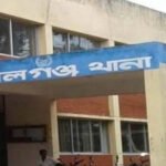 Lorry Collision Claims Hundreds of Poultry Lorry Collision Claims Hundreds of Poultry