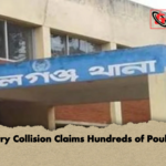 Lorry Collision Claims Hundreds of Poultry Lorry Collision Claims Hundreds of Poultry