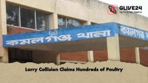 Lorry Collision Claims Hundreds of Poultry Lorry Collision Claims Hundreds of Poultry