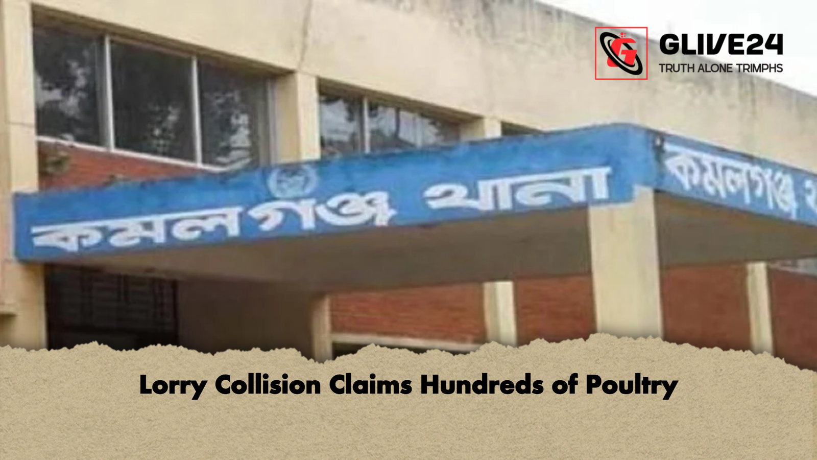 Lorry Collision Claims Hundreds of Poultry Lorry Collision Claims Hundreds of Poultry