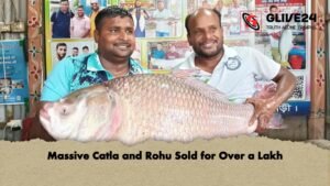 Massive Catla and Rohu Sold for Over a Lakh