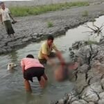 Mirsarai Deer Killing Sparks Outrage 1 Mirsarai Deer Killing Sparks Outrage