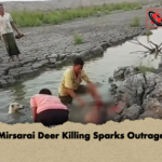 Mirsarai Deer Killing Sparks Outrage Mirsarai Deer Killing Sparks Outrage