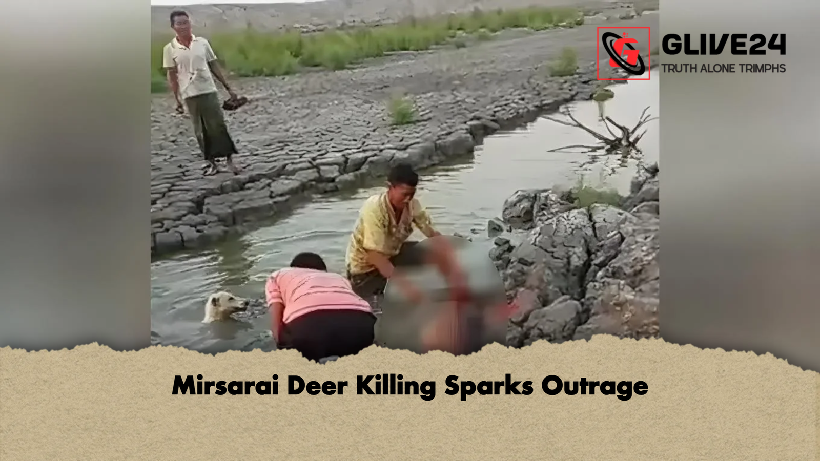 Mirsarai Deer Killing Sparks Outrage Mirsarai Deer Killing Sparks Outrage