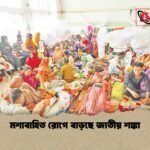 Mosquito-Borne Illnesses Escalate in Bangladesh