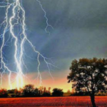 Severe Thunderstorms and Lightning Strikes Claim Thirteen Lives Across Seven Districts Thunderstorms and Lightning Strikes Claim Thirteen Lives Across Seven Districts