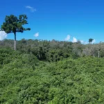 Six Rubber Plantation Workers Abducted in Bandarban Six Rubber Plantation Workers Kidnapped in Bandarban