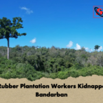 Six Rubber Plantation Workers Kidnapped in Bandarban Six Rubber Plantation Workers Kidnapped in Bandarban