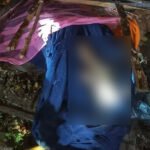 Storm Felled Tree Claims Pregnant Life Storm-Felled Tree Claims Pregnant Life