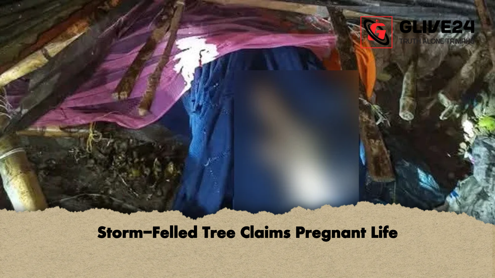 Storm Felled Tree Claims Pregnant Life Storm-Felled Tree Claims Pregnant Life