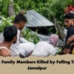 Three Family Members Killed by Falling Tree in Jamalpur