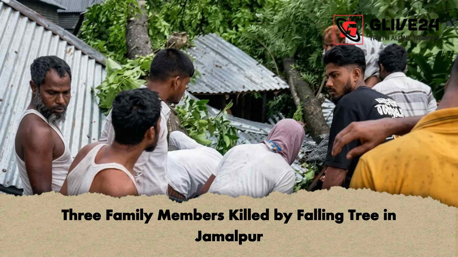 Three Family Members Killed by Falling Tree in Jamalpur