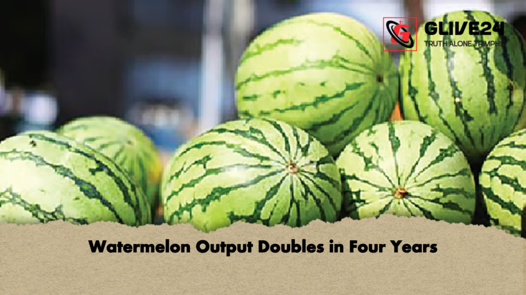 Watermelon Output Doubles in Four Years 2 Watermelon Output Doubles in Four Years 2 Watermelon Output Doubles in Four Years
