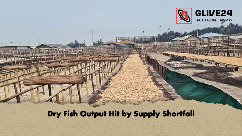 Dry Fish Output Hit by Supply Shortfall 2 news thumbnail 1777095520859 Dry Fish Output Hit by Supply Shortfall