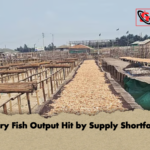 news thumbnail 1777095520859 Dry Fish Output Hit by Supply Shortfall