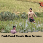 news thumbnail 1777271973796 Flash Flood Threats Haor Farmers