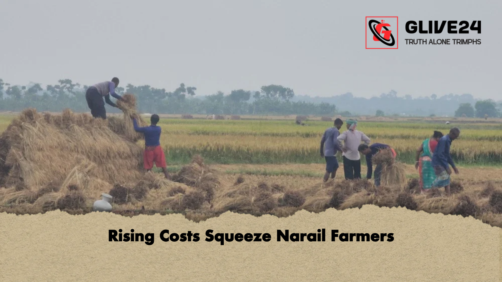 news thumbnail 1777376071986 Rising Costs Squeeze Narail Farmers