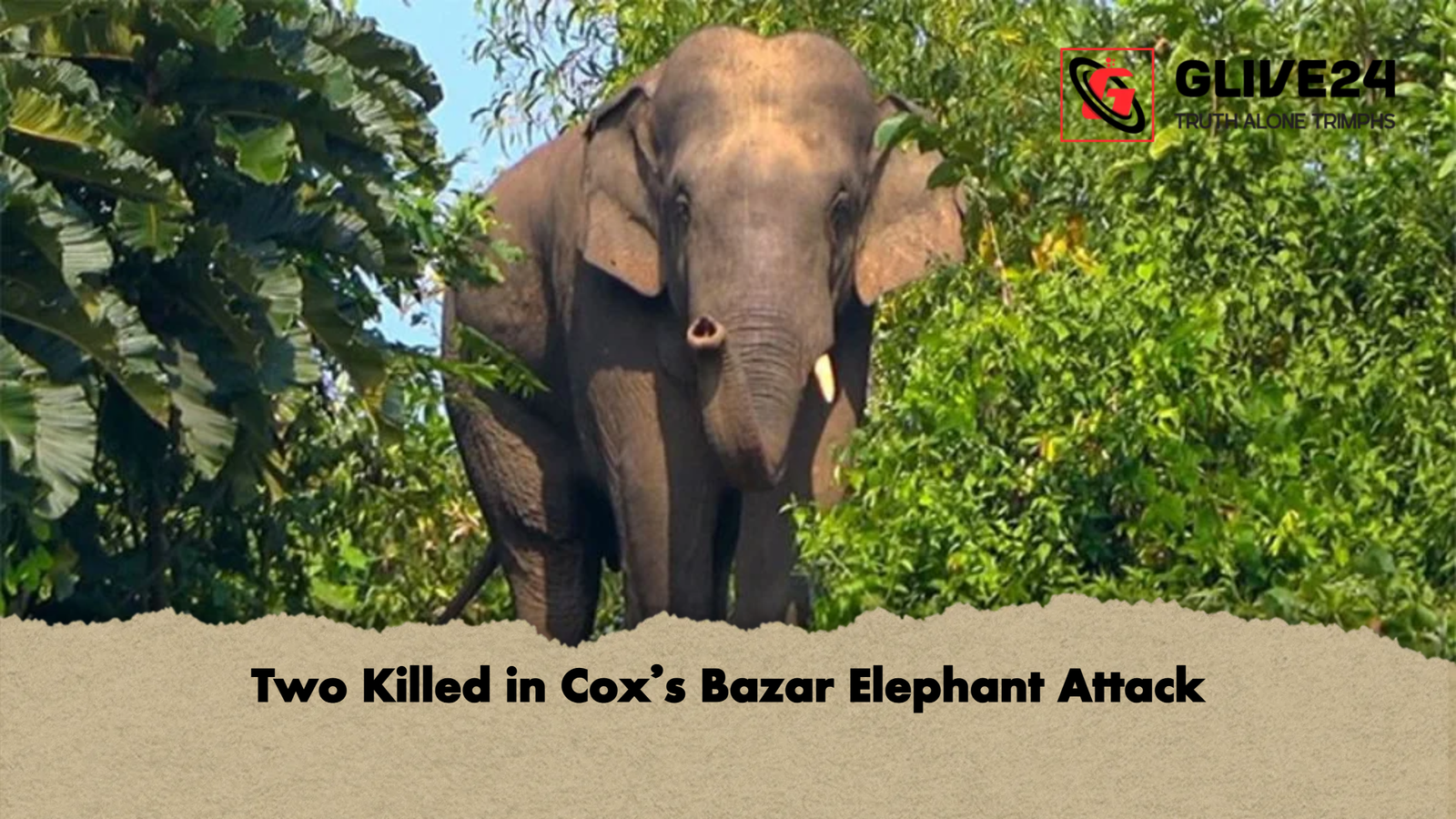 news thumbnail 1777538641848 Two Killed in Cox’s Bazar Elephant Attack