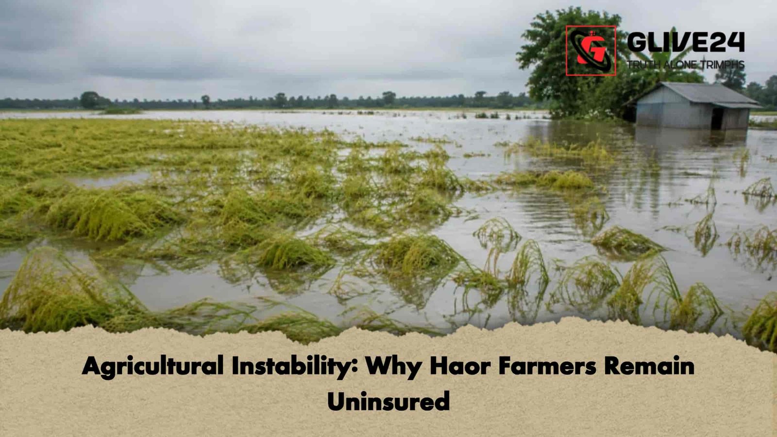 Agricultural Instability Why Haor Farmers Remain Uninsured Agricultural Instability: Why Haor Farmers Remain Uninsured