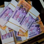 Border Guard Bangladesh Uncovers Illicit Currency Operation Border Guard Bangladesh Uncovers Illicit Currency Operation