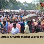 Buffalo Attack At Cattle Market Leaves Two Dead