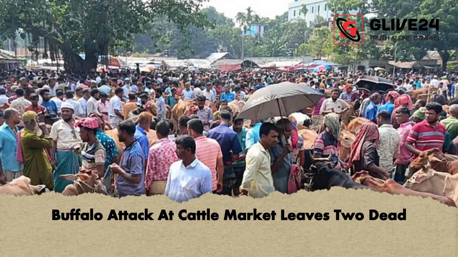 Buffalo Attack At Cattle Market Leaves Two Dead 1 Buffalo Attack At Cattle Market Leaves Two Dead